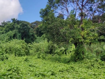 Residential Land