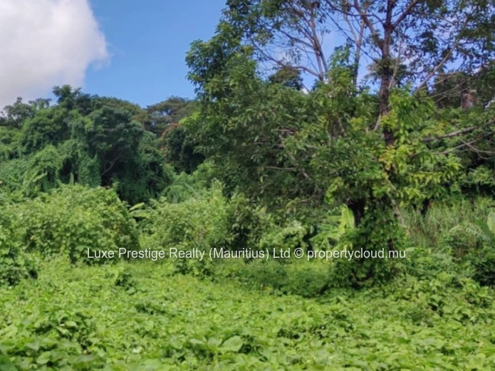 Prime Residential Land for Sale in Floréal | 2,090m² | Prestigious Central Location | Close to So’Flo Mall | Rs 20M